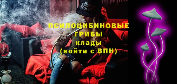 молекула духа Арсеньев