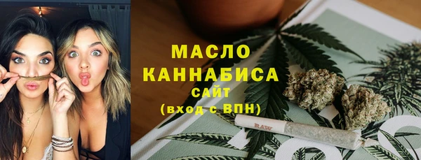 молекула духа Арсеньев