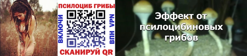 Псилоцибиновые грибы MAGIC MUSHROOMS как найти закладки Брянск