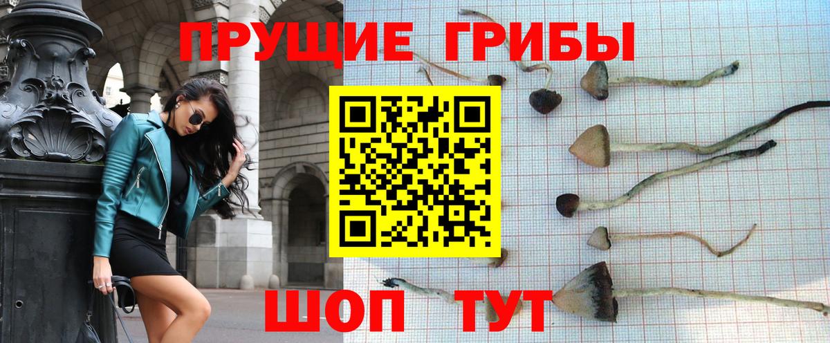 Брянск  Галлюциногенные грибы мицелий  Галлюциногенные грибы мицелий  Вход с VPN 